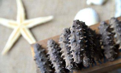 ​干海参怎么做,请问干海参怎么做