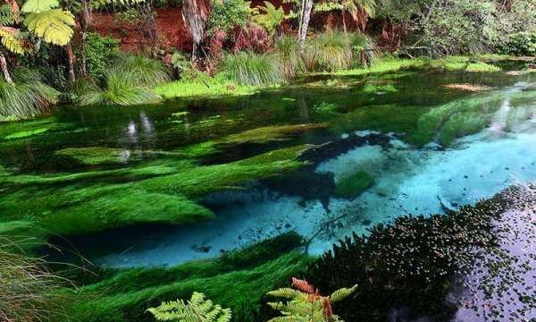 冷泉形成原因,深海热泉生态系统的能量来源图5