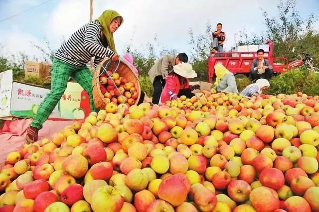 适合春天吃的水果有哪些呢（8种适合春天吃的水果都帮你找好了）(1)