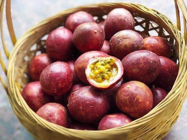 适合春天吃的水果有哪些呢（8种适合春天吃的水果都帮你找好了）(10)