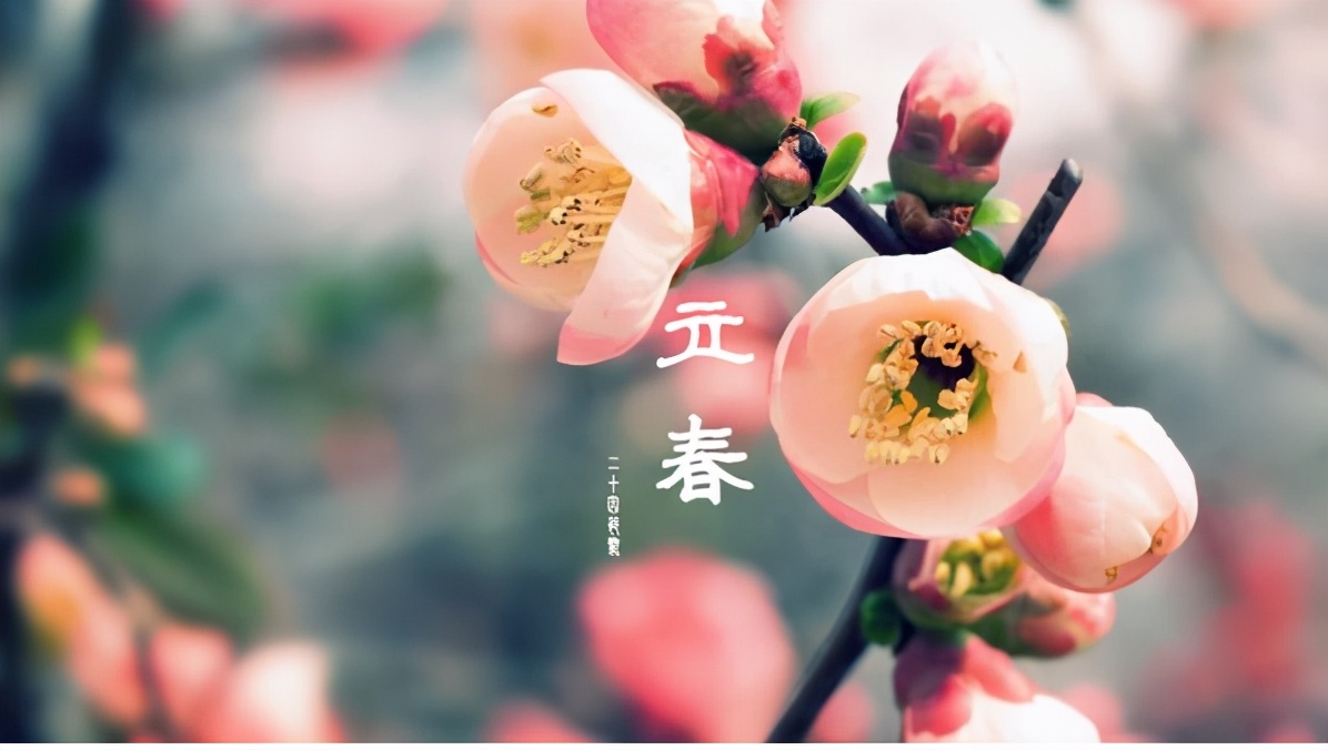 春节打春有啥说法(正月打春有什么说法)(图2) 春节打春有啥说法(正月打春有什么说法)(图2)