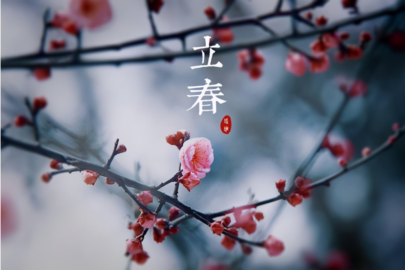 春节打春有啥说法（正月打春有什么说法）(图1)
