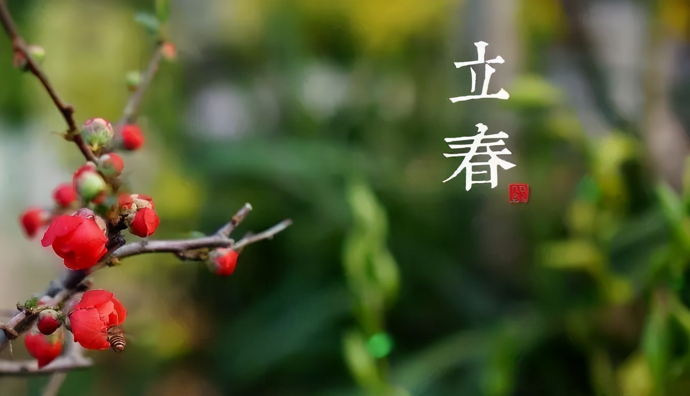 春节打春有啥说法(正月打春有什么说法)(图5) 春节打春有啥说法(正月打春有什么说法)(图5)