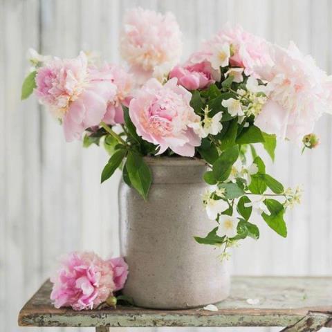 特别走心的干净短句（朋友圈干净走心的心情语录）(5)