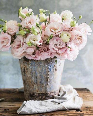 特别走心的干净短句（朋友圈干净走心的心情语录）(6)