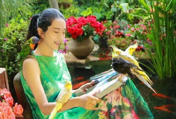 鲁豫有约杨丽萍来月亮宫(鲁豫采访谁谁就倒霉)(8)