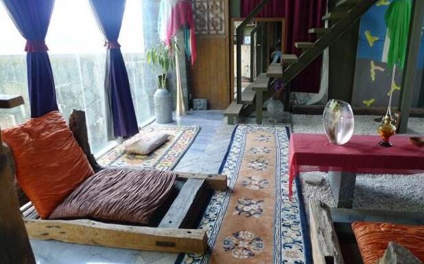 鲁豫有约杨丽萍来月亮宫(鲁豫采访谁谁就倒霉)(4)