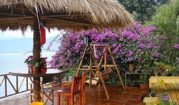 鲁豫有约杨丽萍来月亮宫(鲁豫采访谁谁就倒霉)(5)