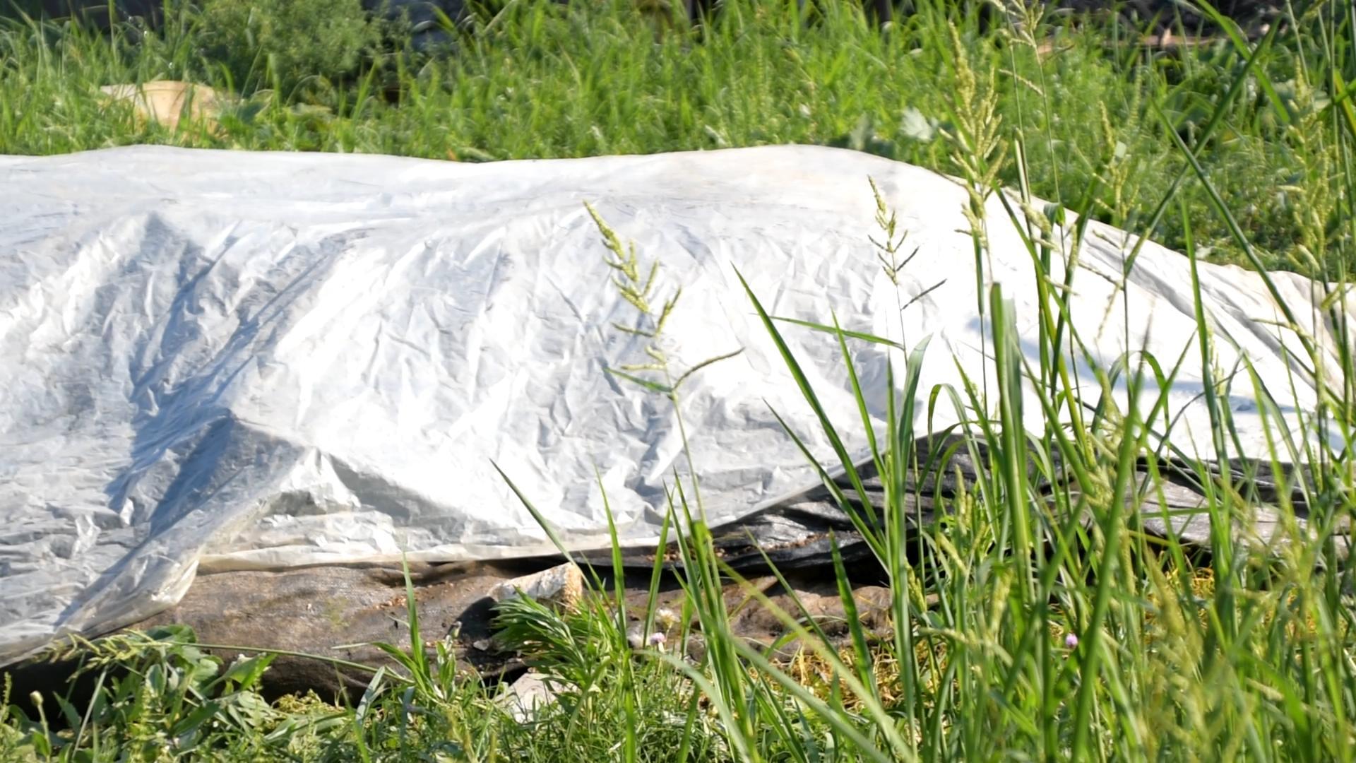 猪粪牛粪怎么处理成有机肥（猪粪怎么处理成有机肥）(图2)