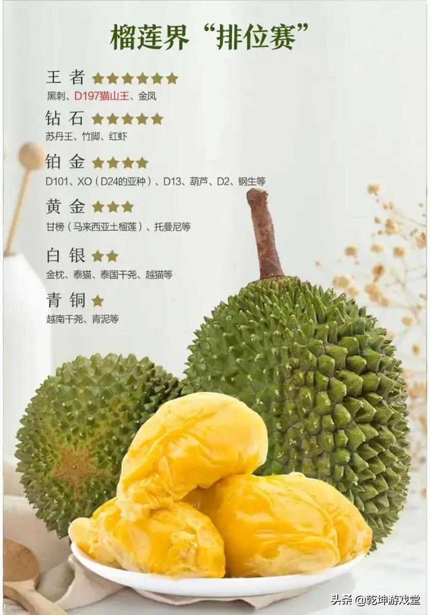 榴莲通常在夏秋两季食用最好(吃榴莲的季节是几月份)(图4) 榴莲通常在夏秋两季食用最好(吃榴莲的季节是几月份)(图4)