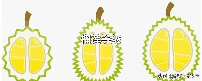 榴莲通常在夏秋两季食用最好(吃榴莲的季节是几月份)(图3) 榴莲通常在夏秋两季食用最好(吃榴莲的季节是几月份)(图3)