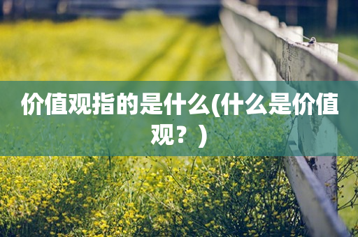 价值观指的是什么(什么是价值观？)