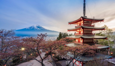 ​日原十大风趣的文明局面 乌猫被以为是佳运的标记