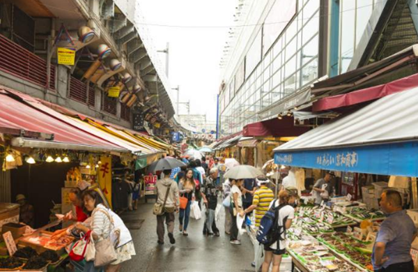 日本十大风趣的文明局面 乌猫被以为是佳运的标记