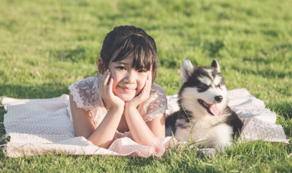 日本十大风趣的文明局面 乌猫被以为是佳运的标记