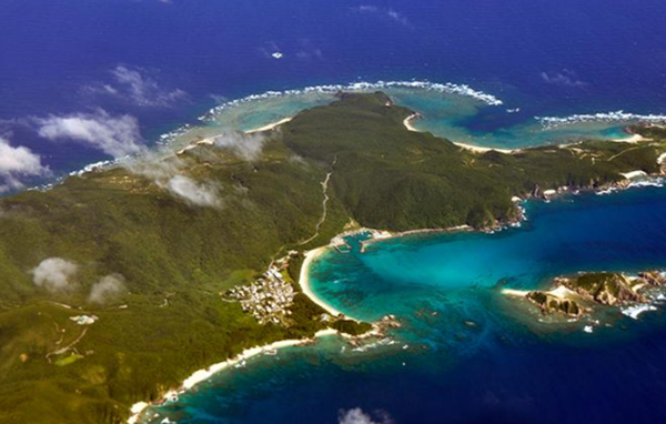 日本十大风趣的文明局面 乌猫被以为是佳运的标记