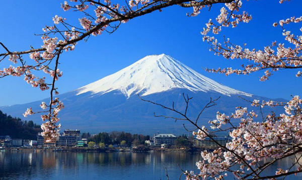 日本十大风趣的文明局面 乌猫被以为是佳运的标记