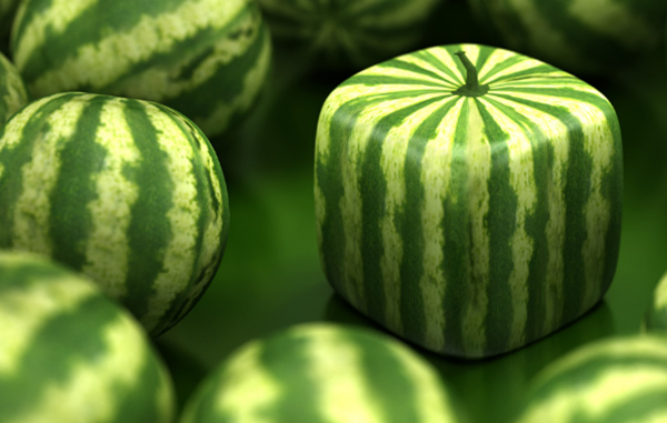 日本十大风趣的文明局面 乌猫被以为是佳运的标记