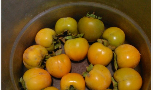 青柿子能吃,青柿子熟了有毒吗图3