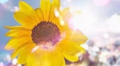 ​布满阳光的句子，正能量励志短句_饱舞民心的案牍