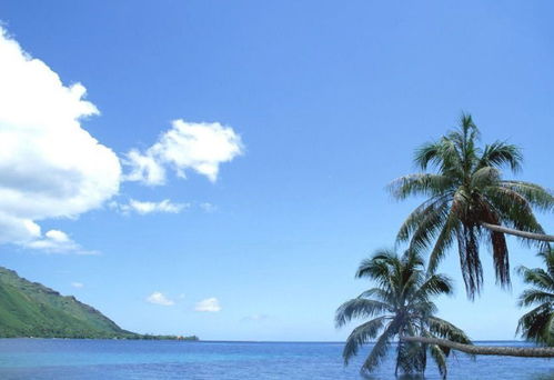 海南旅游最佳时间海南旅游的最佳时间-图2 海南旅游最佳时间海南旅游的最佳时间-图2