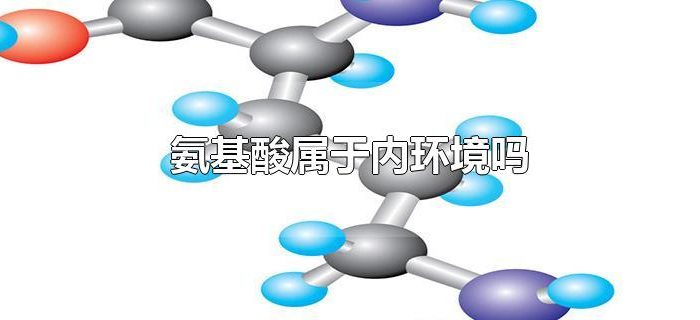 氨基酸属于内环境吗