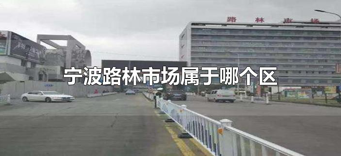 宁波路林市场属于哪个区