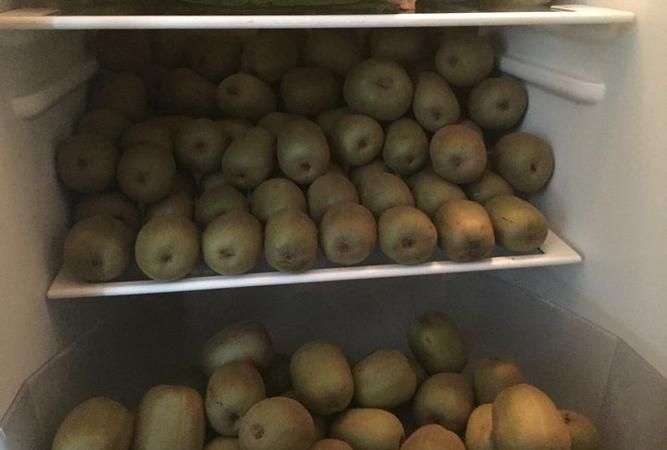 猕猴桃能放冰箱里保存吗