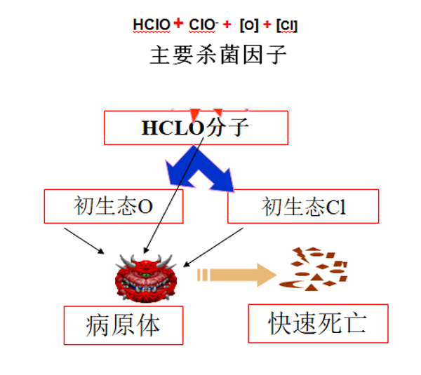 消毒水有哪些品种 _新冠常用消毒剂 消毒水有哪些品种 _新冠常用消毒剂