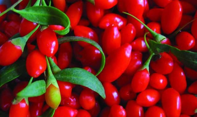 板栗炖鸡可以放红枣吗，煲鸡汤的时候里面可以一起放枸杞、红枣、桂圆、板栗、香菇这些吗？还能放什么东西不？图3