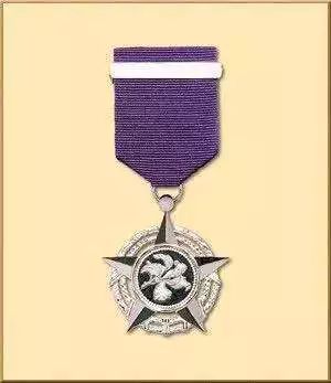 哪些艺人获紫荆星章(获紫荆星章的香港艺人) 第3张