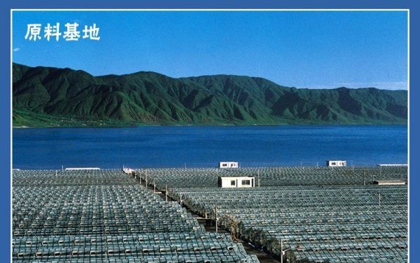 程海湖在云南哪里,螺旋藻主产地在什么地方图2