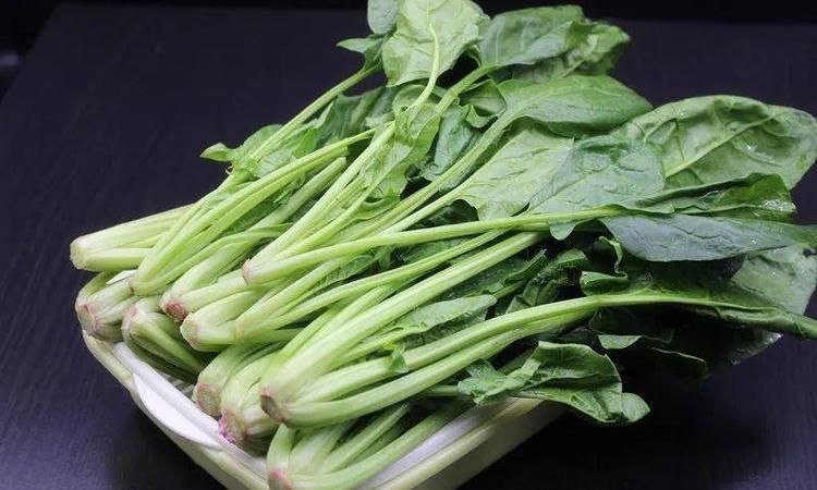 植物性优质蛋白质食物有哪些