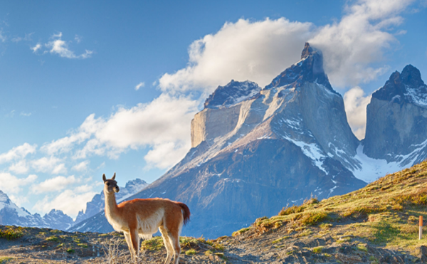 智利是个什么样的国度?闭于智利的十大风趣究竟