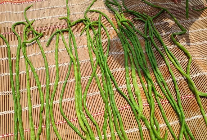 晒的干豆角为什么是绿色的呢