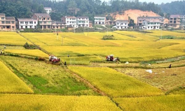 公顷平方米进率,平方米和公顷的进率是多少图4