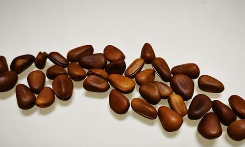 松子怎么存放没有炒熟的松子