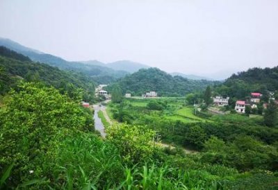 ​人无完人的意思是(人无完人的意思是什么意思)