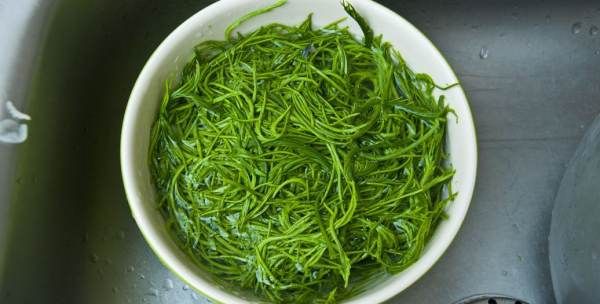 信阳毛尖什么茶,毛尖属于什么茶图片图4