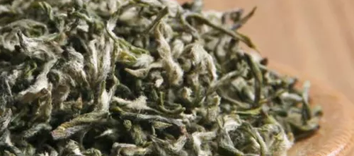 信阳毛尖什么茶,毛尖属于什么茶图片图1