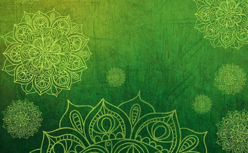 多春鱼怎么吃-怎么处理-(多春鱼是河鱼还是海鱼)(图1) 多春鱼怎么吃-怎么处理-(多春鱼是河鱼还是海鱼)(图1)