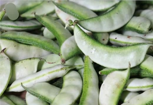 扁豆需要焯水吗，炒扁豆需要焯水吗？图4