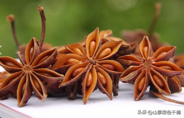 炖肉放哪些调料好吃(炖肉调料搭配避坑指南)(1)