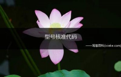 ​型号核准代码(如何查询手机IMEI码)