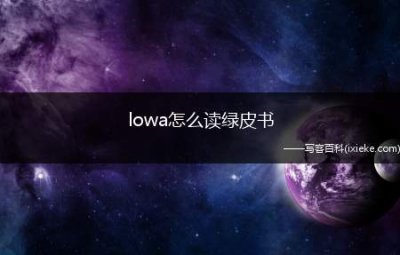 ​绿皮书里的lowa怎么读(绿皮书配音lowa怎么读)