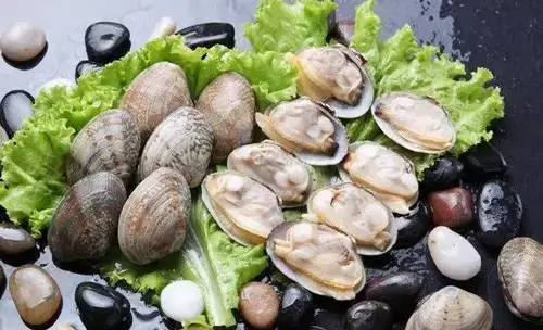 花蛤是海鲜,花蛤是不是海鲜图3