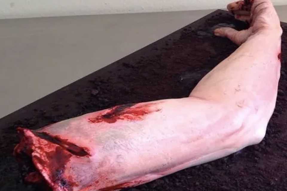 世界上最吓人的蛋糕你敢吃哪个(世界上最吓人的蛋糕图)