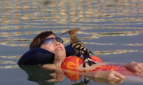 中国死海在什么地方,中国死海在什么地方?图5