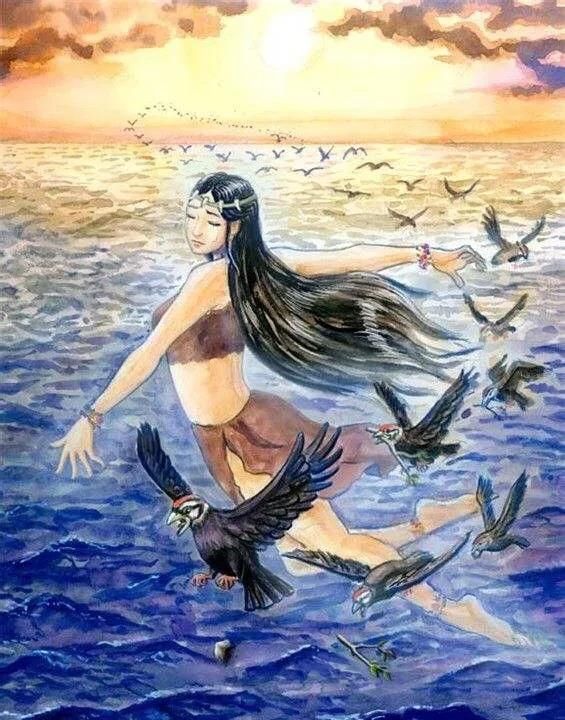 精卫填海的精卫指什么,精卫填海里的精卫指的是什么?图6