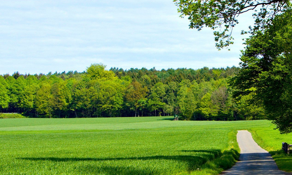 0寸是多大,行李箱20寸有多大图3